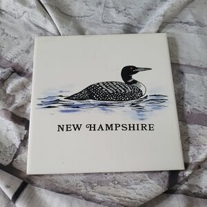 Art Tile Ceramic Wall Plate Trivet The Great Northern Loon Water Bird New Hampsh